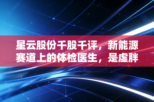 星云股份千股千评，新能源赛道上的体检医生，是虚胖还是真肌肉？