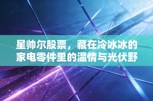 星帅尔股票，藏在冷冰冰的家电零件里的温情与光伏野望，这只票到底能不能买？