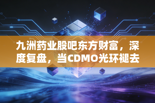九洲药业股吧东方财富,深度复盘,当CDMO光环褪去,我们该如何在波动中寻找定力?