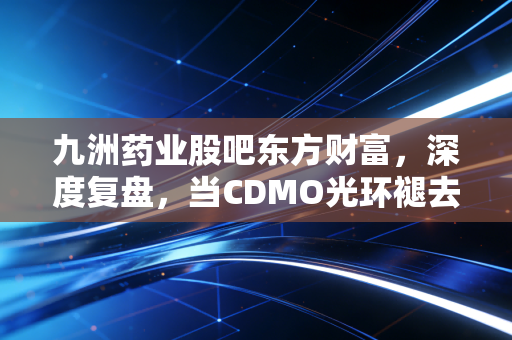九洲药业股吧东方财富,深度复盘,当CDMO光环褪去,我们该如何在波动中寻找定力?