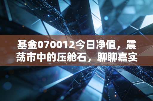 基金070012今日净值,震荡市中的压舱石,聊聊嘉实精选平衡的投资哲学