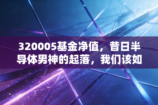 320005基金净值,昔日半导体男神的起落,我们该如何面对极致的波动?