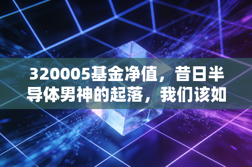 320005基金净值,昔日半导体男神的起落,我们该如何面对极致的波动?