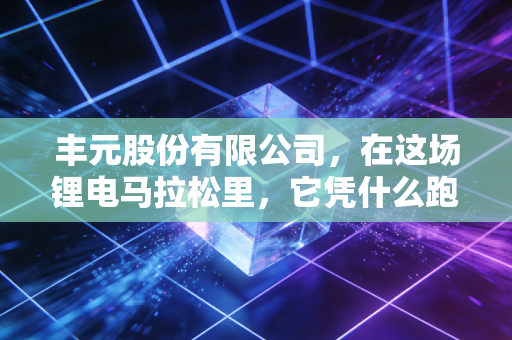 丰元股份有限公司,在这场锂电马拉松里,它凭什么跑赢大盘?