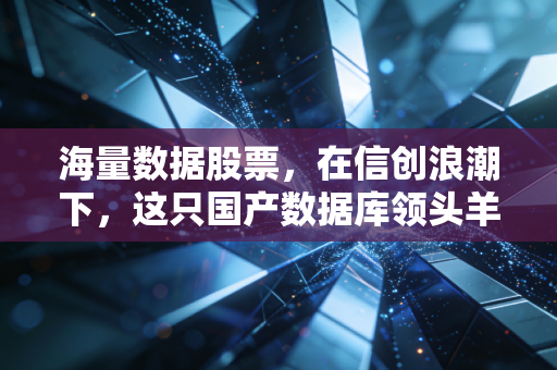 海量数据股票,在信创浪潮下,这只国产数据库领头羊到底值不值得我们长期持有?