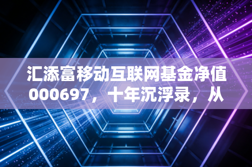 汇添富移动互联网基金净值000697,十年沉浮录,从流量狂欢到价值回归的投资思考