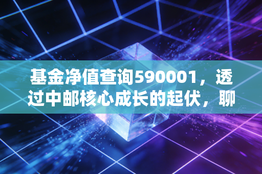 基金净值查询590001,透过中邮核心成长的起伏,聊聊我们该如何面对账户里的数字游戏