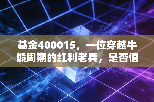 基金400015,一位穿越牛熊周期的红利老兵,是否值得你托付养老钱?