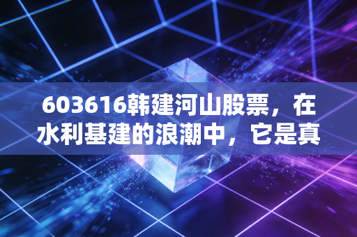 603616韩建河山股票,在水利基建的浪潮中,它是真正的弄潮儿还是随波逐流的浮萍?