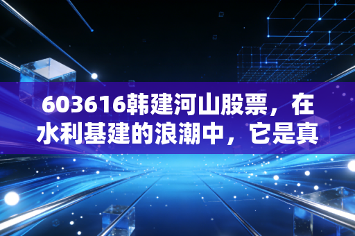 603616韩建河山股票,在水利基建的浪潮中,它是真正的弄潮儿还是随波逐流的浮萍?
