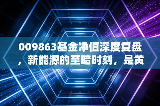 009863基金净值深度复盘，新能源的至暗时刻，是黄金坑还是无底洞？