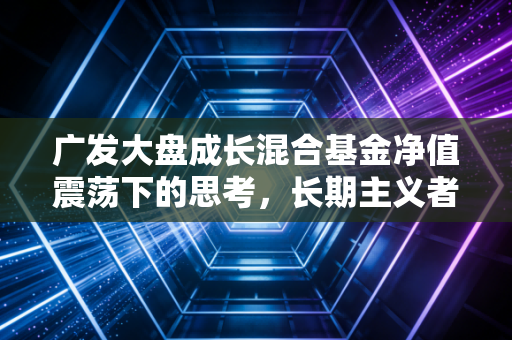 广发大盘成长混合基金净值震荡下的思考,长期主义者的试金石