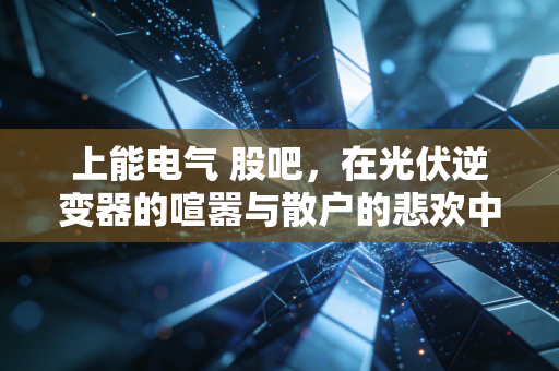 上能电气 股吧,在光伏逆变器的喧嚣与散户的悲欢中,寻找投资的理性之光