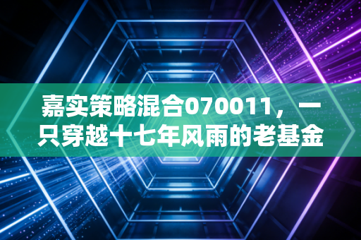 嘉实策略混合070011,一只穿越十七年风雨的老基金,还能打吗?