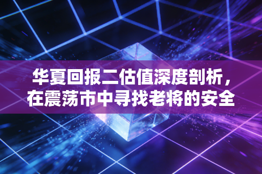 华夏回报二估值深度剖析,在震荡市中寻找老将的安全边际
