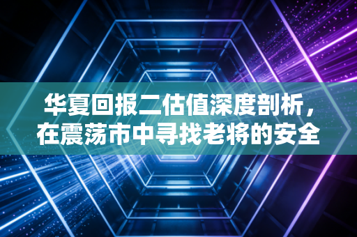 华夏回报二估值深度剖析,在震荡市中寻找老将的安全边际