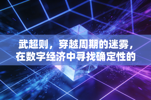 武超则，穿越周期的迷雾，在数字经济中寻找确定性的硬科技力量