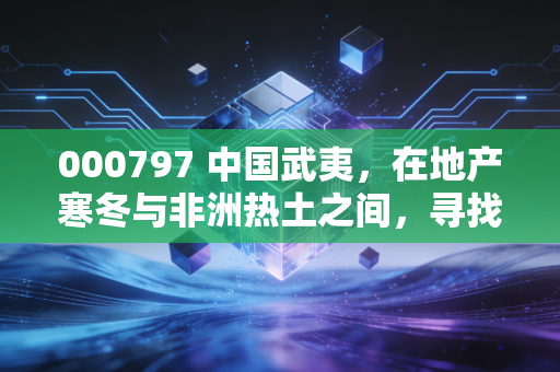 000797 中国武夷,在地产寒冬与非洲热土之间,寻找被低估的福建老兵