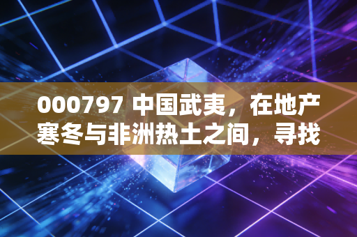 000797 中国武夷,在地产寒冬与非洲热土之间,寻找被低估的福建老兵