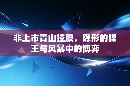 非上市青山控股，隐形的镍王与风暴中的博弈