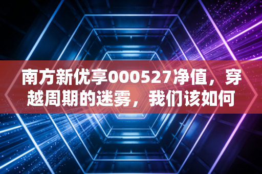 南方新优享000527净值,穿越周期的迷雾,我们该如何审视手中的这只基金?