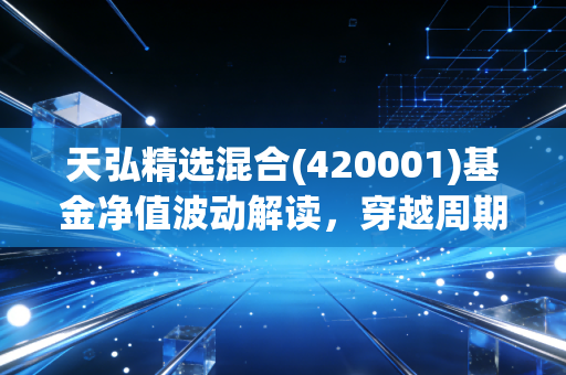 天弘精选混合(420001)基金净值波动解读，穿越周期的稳健选择，还是时代的眼泪？