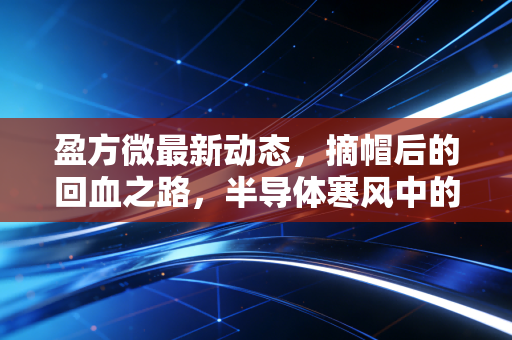 盈方微最新动态,摘帽后的回血之路,半导体寒风中的突围与隐忧