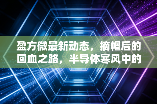 盈方微最新动态,摘帽后的回血之路,半导体寒风中的突围与隐忧