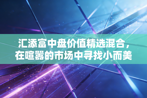 汇添富中盘价值精选混合,在喧嚣的市场中寻找小而美的确定性,聊聊我对中盘价值投资的独特见解
