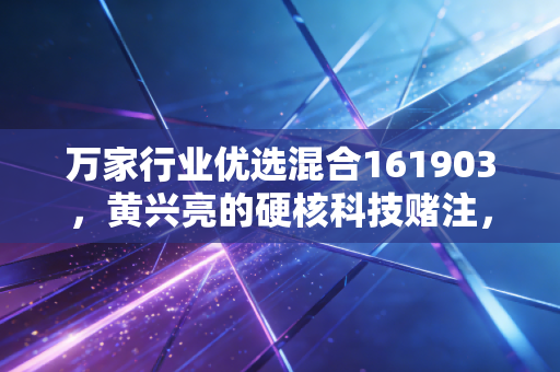 万家行业优选混合161903,黄兴亮的硬核科技赌注,是通往财富自由的快车还是过山车?