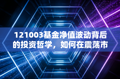 121003基金净值波动背后的投资哲学,如何在震荡市中寻找稳稳的幸福?