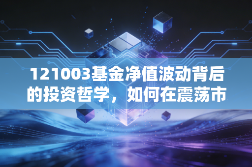 121003基金净值波动背后的投资哲学,如何在震荡市中寻找稳稳的幸福?