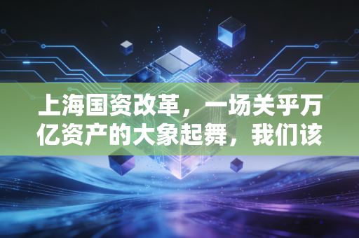 上海国资改革,一场关乎万亿资产的大象起舞,我们该如何跟上节奏?
