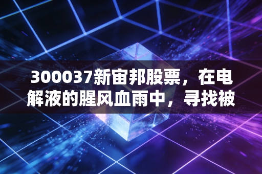 300037新宙邦股票,在电解液的腥风血雨中,寻找被低估的隐形冠军