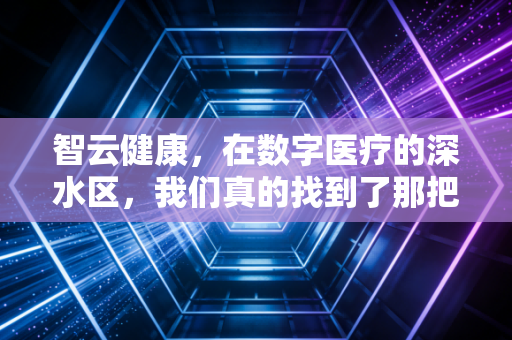 智云健康,在数字医疗的深水区,我们真的找到了那把通往慢病管理的金钥匙吗?