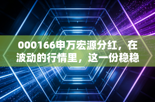 000166申万宏源分红,在波动的行情里,这一份稳稳的幸福到底值不值得守候?