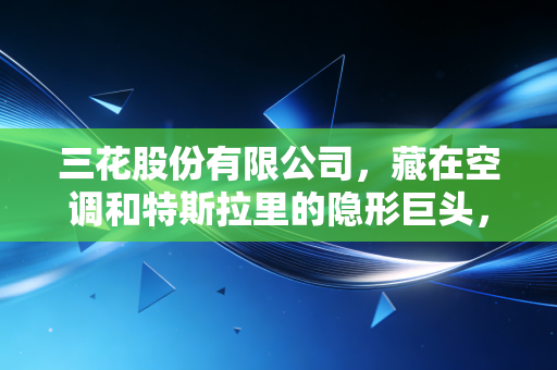 三花股份有限公司,藏在空调和特斯拉里的隐形巨头,这只长跑冠军还能上车吗?