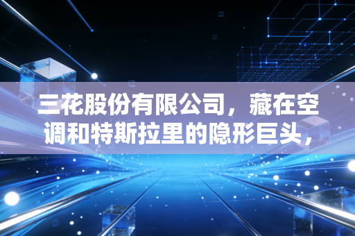 三花股份有限公司,藏在空调和特斯拉里的隐形巨头,这只长跑冠军还能上车吗?