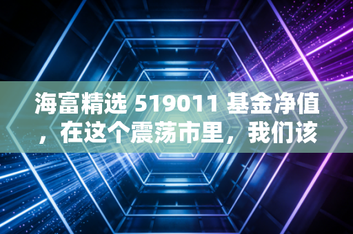海富精选 519011 基金净值,在这个震荡市里,我们该如何与这位老朋友相处?