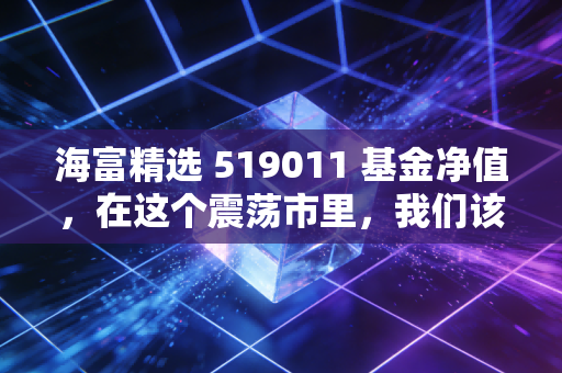 海富精选 519011 基金净值,在这个震荡市里,我们该如何与这位老朋友相处?