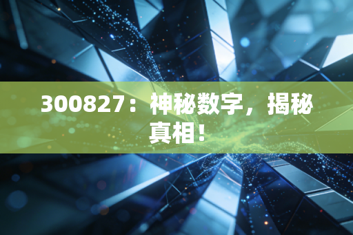 300827：神秘数字，揭秘真相！