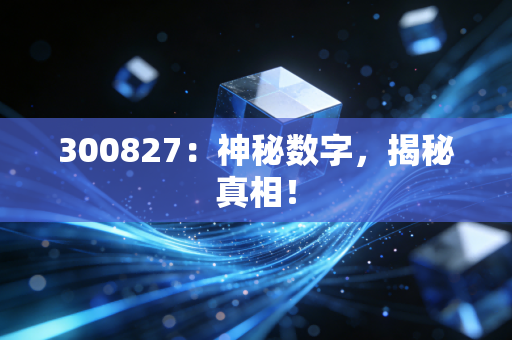 300827:神秘数字,揭秘真相!