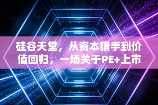 硅谷天堂,从资本猎手到价值回归,一场关于PE+上市公司模式的深度复盘