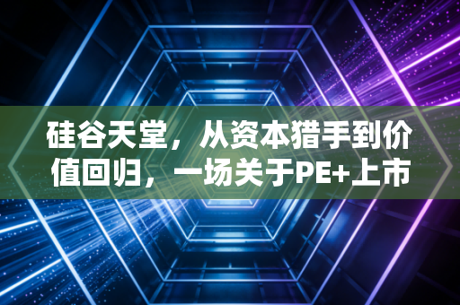 硅谷天堂,从资本猎手到价值回归,一场关于PE+上市公司模式的深度复盘