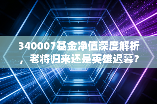340007基金净值深度解析,老将归来还是英雄迟暮?聊聊兴全趋势的变与不变