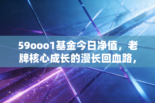 59ooo1基金今日净值,老牌核心成长的漫长回血路,给长期持有者的几点心里话