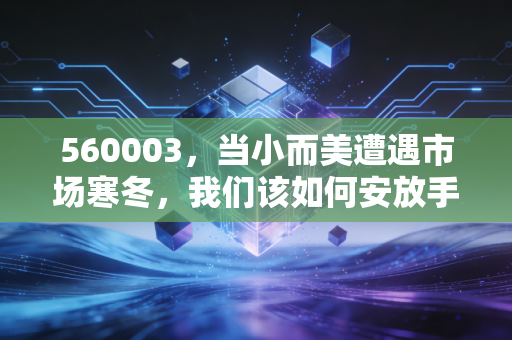 560003,当小而美遭遇市场寒冬,我们该如何安放手中的中证500?