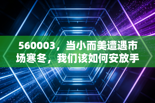 560003,当小而美遭遇市场寒冬,我们该如何安放手中的中证500?