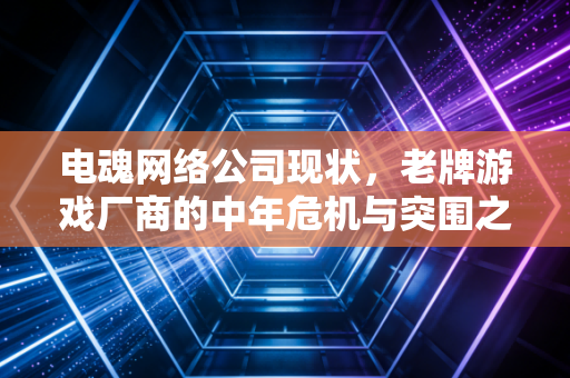 电魂网络公司现状,老牌游戏厂商的中年危机与突围之路