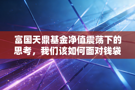 富国天鼎基金净值震荡下的思考,我们该如何面对钱袋子里的数字跳动?